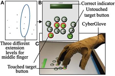 Synergy Repetition Training versus Task Repetition Training in Acquiring New Skill